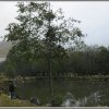 APP Kruth, à l'étang des cigognes